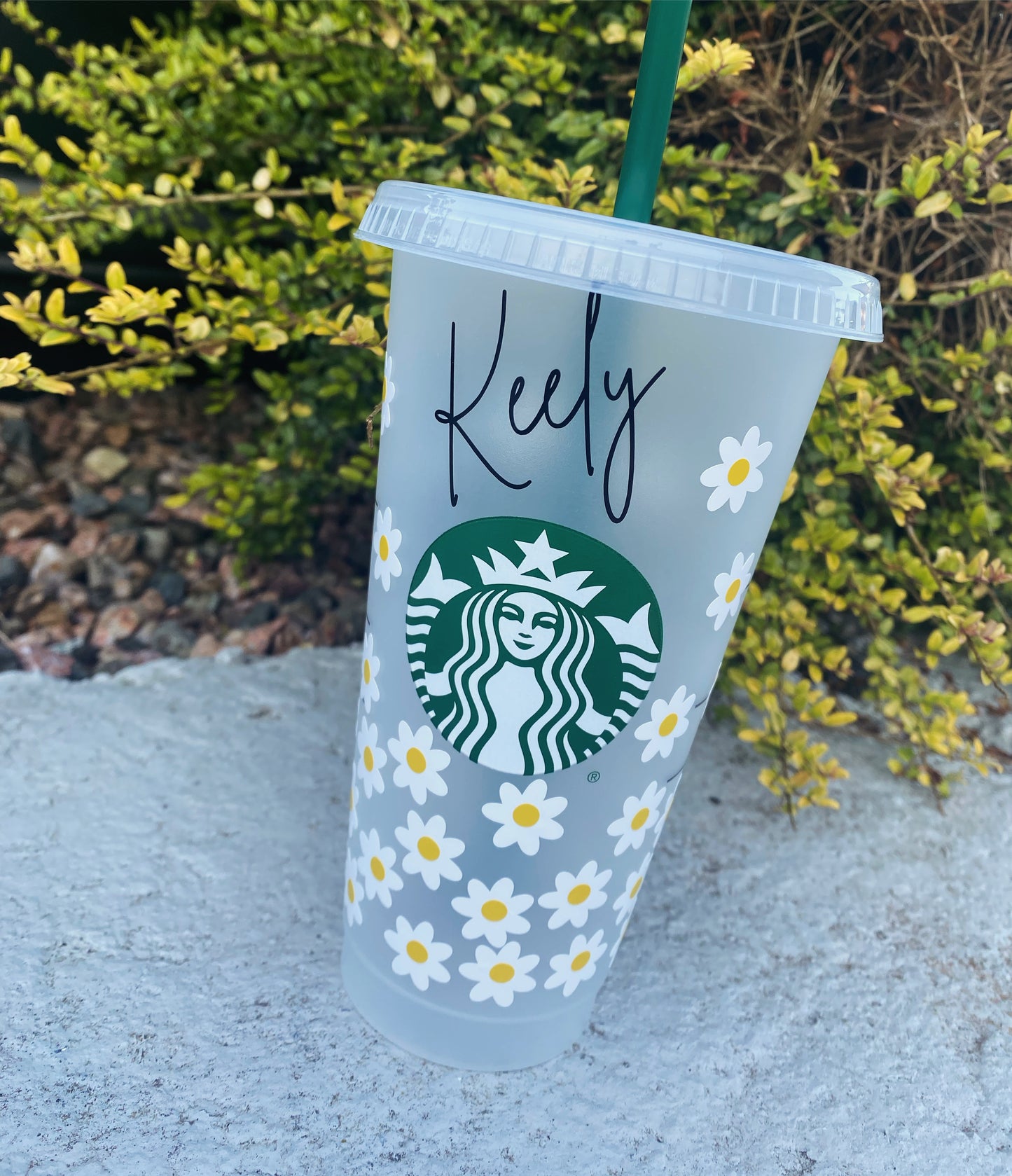 Official Starbucks Cluster Daisys